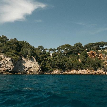Exclusive Waterfront Villa - Cote Dazur Le Pradet Dış mekan fotoğraf