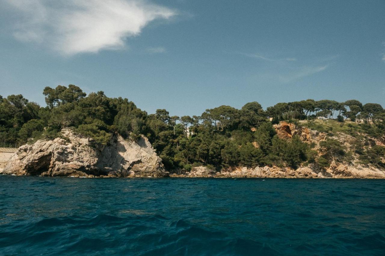 Exclusive Waterfront Villa - Cote Dazur Le Pradet Dış mekan fotoğraf