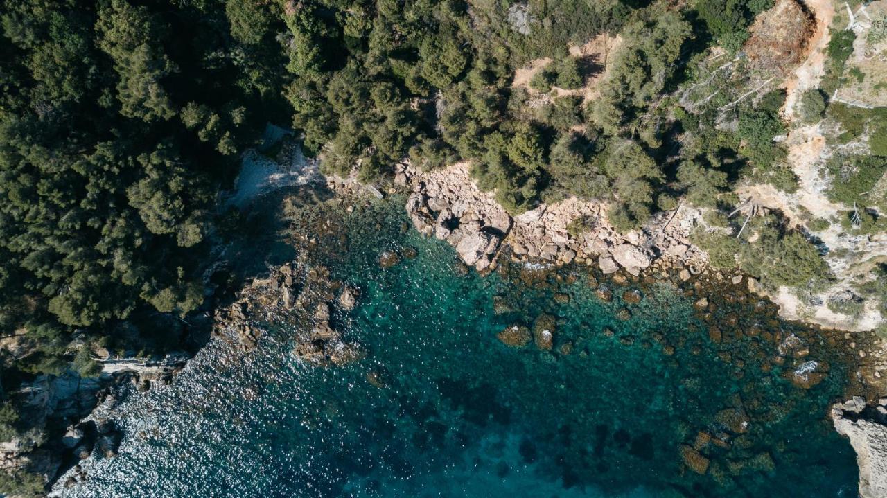 Exclusive Waterfront Villa - Cote Dazur Le Pradet Dış mekan fotoğraf